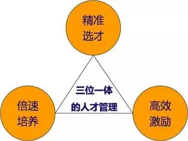 揭秘华为人才管理核心精髓：保持组织活力的关键，极具洞见性